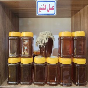 عسل گشنیز